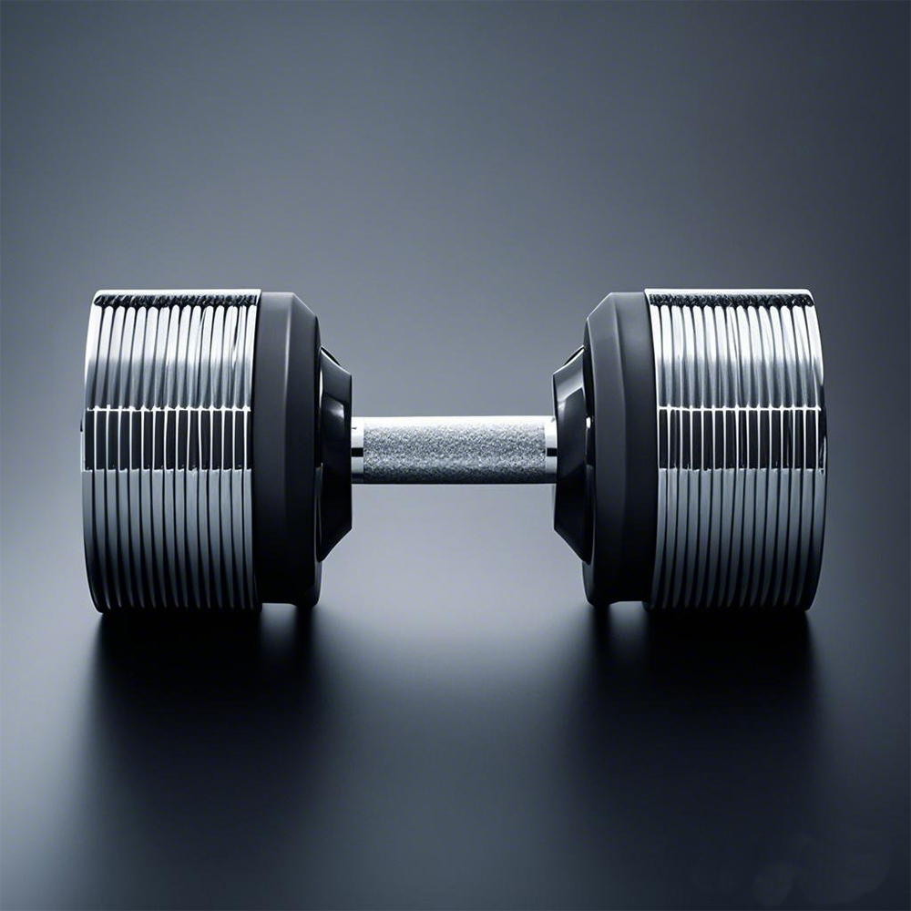 40kg Adjustable Increments Dum - đánh giá và giá Home Gym No Equipment