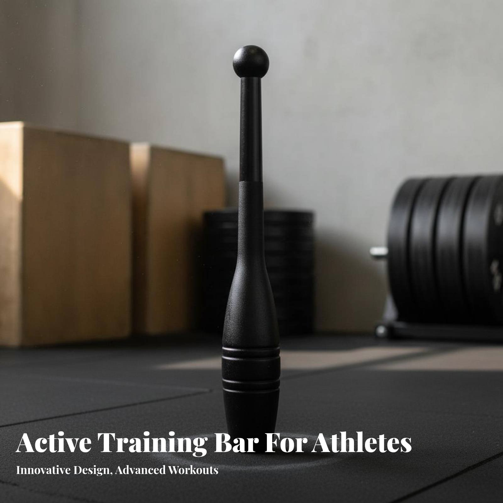 Steel Bell Fitness Training To - đánh giá và giá Home Gym Upper Body Workout