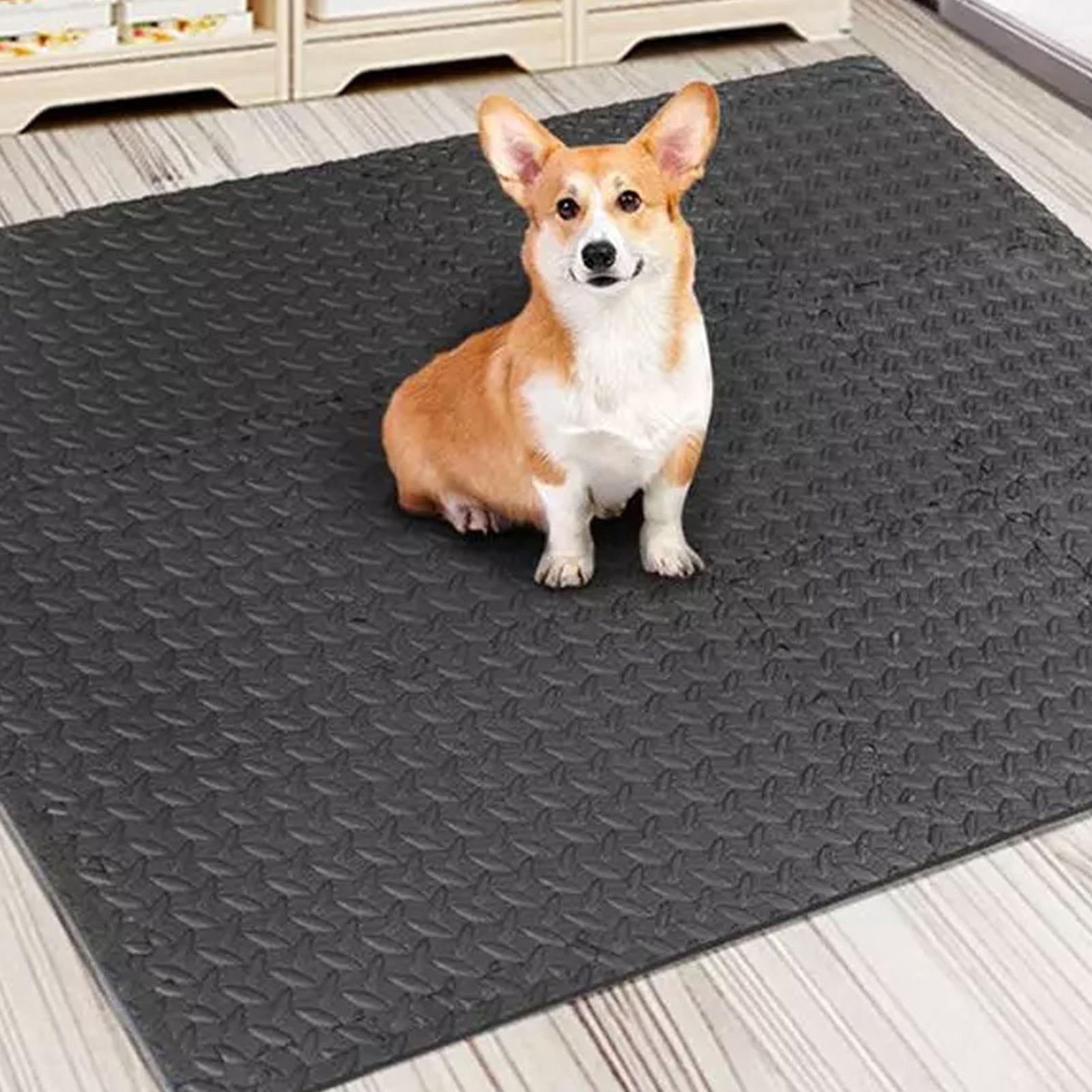 Puzzle Exercise Mat 12 Pieces  - đánh giá và giá Home Gym For Toddlers